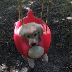 Meet your Posher, Leah